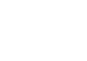 logo vmware partner gdms